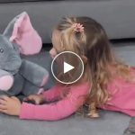 Éneklő plüss elefánt – video