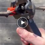 Metszőolló a könnyű metszéshez és oltáshoz – video