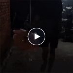 Luficsokor rózsával és LED-világítással – video