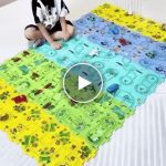 Puzzle egy vasúti pályával – video