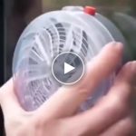 Napenergiával működő rovarfogó az ablakra – UV-fény, 8 órás üzemidő – video